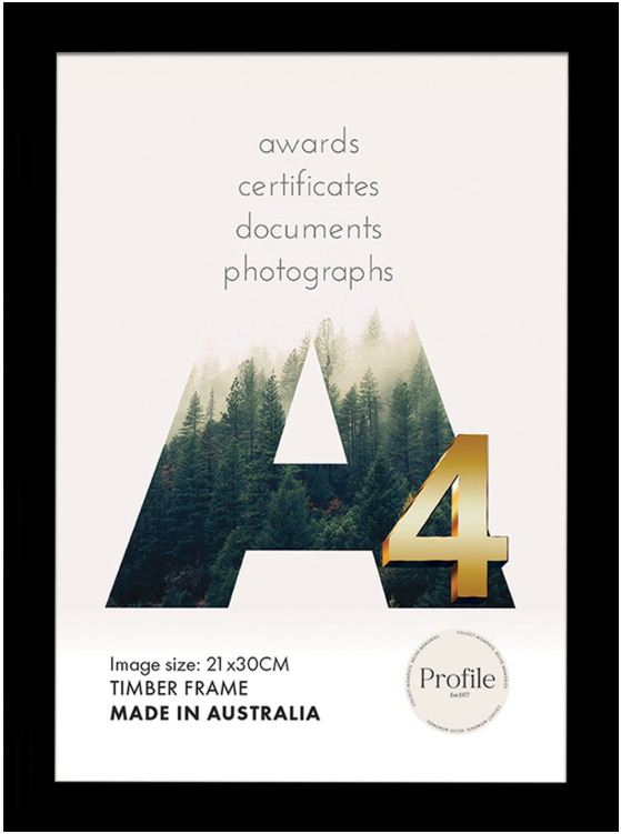 Decorator Black Certificate Picture Frames - Image 3
