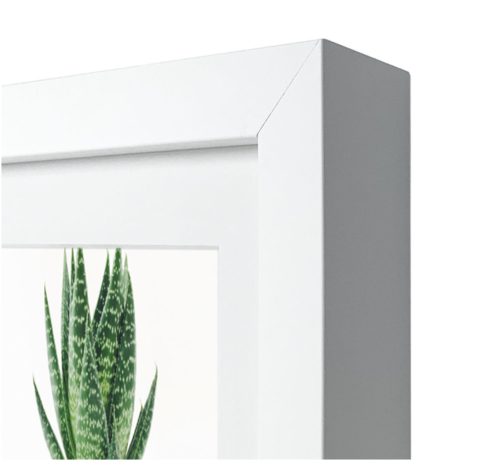Decorator White Panoramic Photo Frames - Image 2