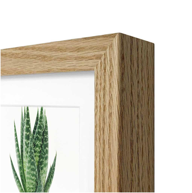 Classic Natural Oak Poster Frames - Image 5